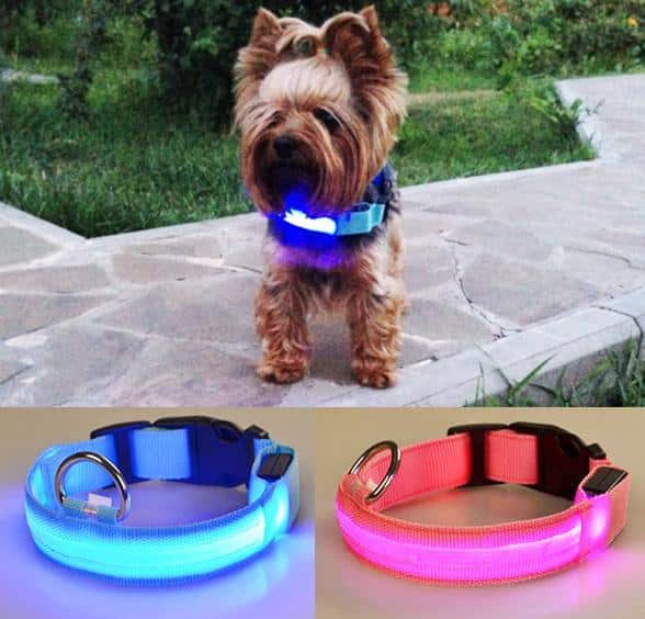 Se Hundehalsbånd med led-lys - Blå - Medium ✔ Kæmpe udvalg i Satana - Køb online på udsalg og tilbud lige nu ✔ Billig fragt og hurtig levering - Varenummer: Satana-4307 på lager - Udsalg på Personlig pleje > Lavera > Store besparelser – op til 67% - Spar stort på mere end 2.739 brands
