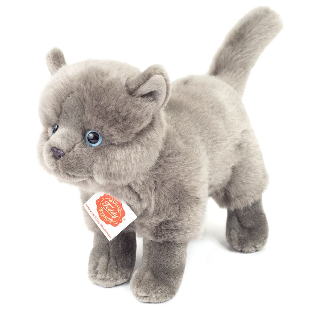 Stående grå Karteuser-kat som blød bamse fra Teddy Hermann