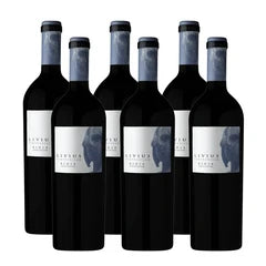 Seks flasker Livius Tempranillo 2011 fra Rioja i en trææske