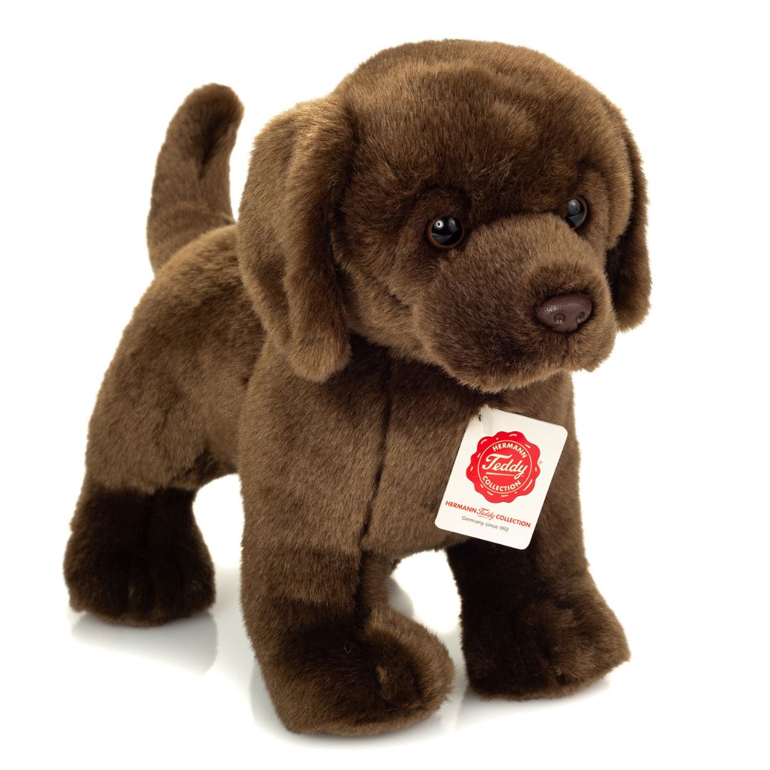 Stående brun labrador bamsehund fra Teddy Hermann