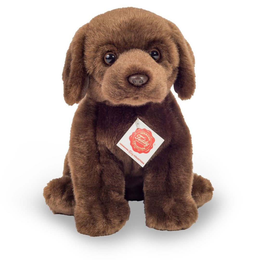 Siddende brun labrador-hvalp som bamse fra Teddy Hermann