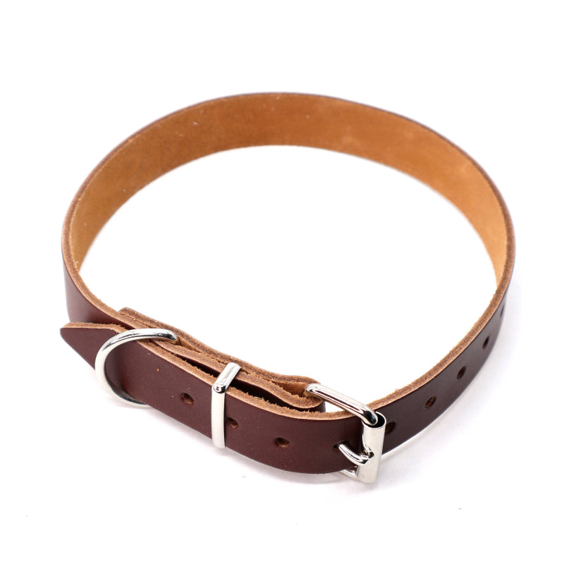 Brunt læderhalsbånd til hund fra BLF-Hunting, halsrem 16 mm x 40 cm