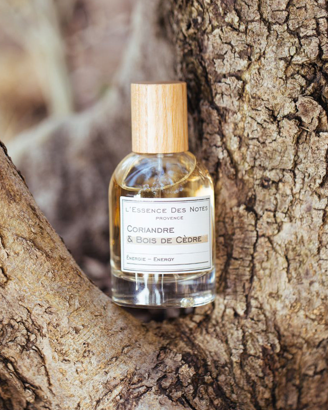 Lessence des notes Coriander & Cedarwood Eau de Parfum