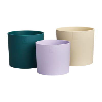 Se Elho - Urtepottesæt, Velvet cream, sæt af 3 stk. ✔ Kæmpe udvalg i  Elho - Køb online på udsalg og tilbud lige nu ✔ Hurtig levering: 1 - 2 Hverdage samt billig fragt - Varenummer: BGH-50259524419914 og barcode / Ean: 8711904540517 på lager - Udsalg på Alle produkter (Lagerbeholdning er større end 1) Spar op til 65% - Over 1354 kendte brands på udsalg