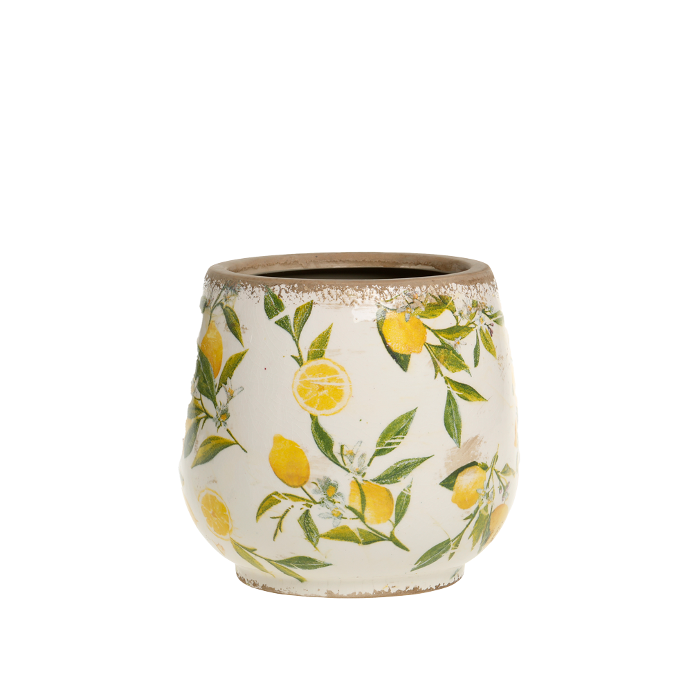 Se Chic Antique LIMONE krukke m. citroner lille ❤ Kæmpe udvalg i Chic Antique - Køb online på udsalg og tilbud lige nu ❤ Super billig fragt og lynhurtig levering - Varenummer: HomeFeeling-4129 og barcode / Ean: 5712750354429 på lager - Udsalg på Interiør - Krukker og skjulere - Alt interiør Spar stort – op til 71% - Over 2.739 kendte brands på stort udsalg