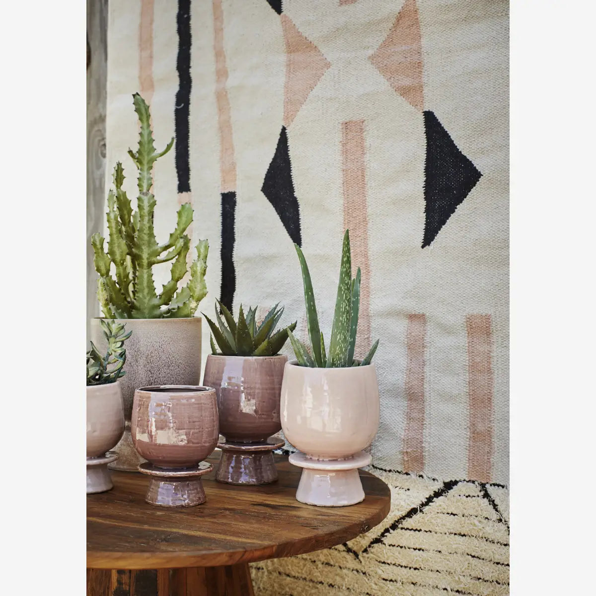 Se Madam Stoltz - Håndvævet Bomuldstæppe frynser 120x180cm ❤ Kæmpe udvalg i Madam Stoltz - Køb online på udsalg og tilbud lige nu ❤ Billig fragt og hurtig levering - Varenummer: Bolig&Haven-47601469981002 og barcode / Ean: 2500712699649 på lager - Udsalg på Få op til 67% i rabat - Over 1.798 brands samlet på udsalg