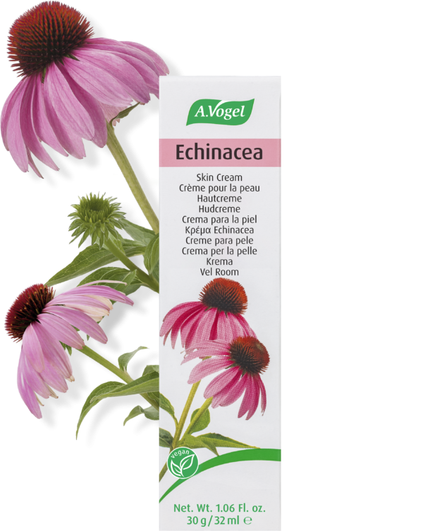Se A. Vogel Echinacea Creme 30 g. ✔ Kæmpe udvalg i A. Vogel - Køb online på udsalg og tilbud lige nu ✔ Lav fragtpris og hurtig levering - Varenummer: Helsegrossisten-6210 og 7610313021154 på lager - Udsalg på Personlig pleje > Ansigt > Echinacea Op til 63% rabat - Over 2.739 mærker samlet ét sted