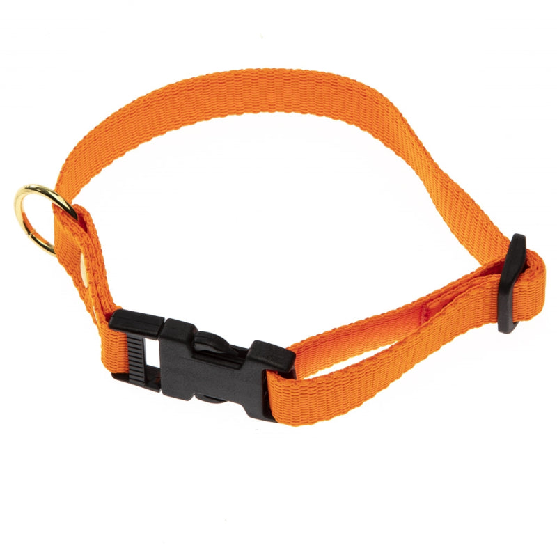 Orange halsbånd i webbing fra BLF-Hunting, 20 mm x 40 cm