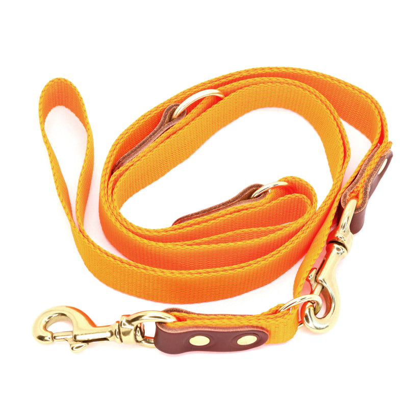 Orange Dressurline hundesnor i webbing med karabinhage, 25 mm x 250 cm