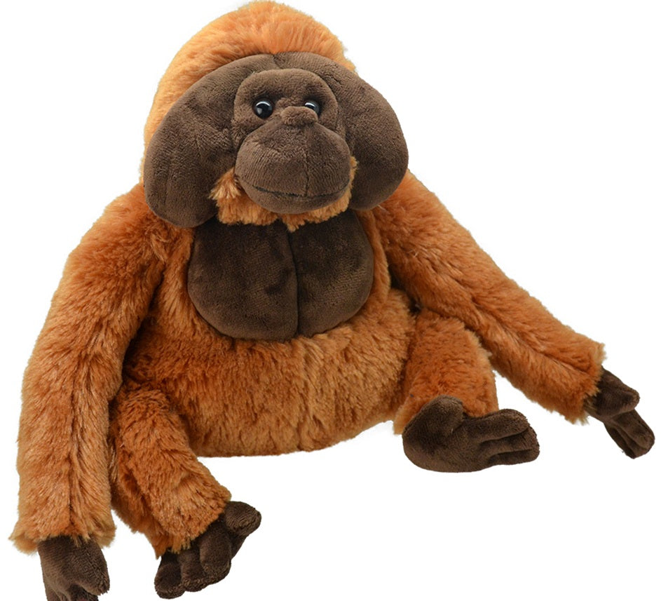Se Orangutang Plysbamse 22x23 cm - All About Nature ✔ Kæmpe udvalg i All About Nature - Køb online på udsalg og tilbud lige nu ✔ Billig fragt og hurtig levering - Varenummer: MMAction-224082 og 5600991982375 på lager - Udsalg på Bamser og plysdyr Store besparelser – op til 77% - Store besparelser på over 2.739 mærker