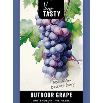 Se Vin 'Boskoop Glory' 1,5 liter potte ✔ Kæmpe udvalg i  Plantetorvet - Køb online på udsalg og tilbud lige nu ✔ Hurtig levering: 1 - 2 Hverdage samt billig fragt - Varenummer: PTT-100391 og barcode / Ean:  på lager - Udsalg på Frugttræer & Frugtbuske > Vinplanter Spar op til 51% - Over 1334 design brands på udsalg