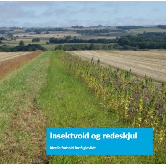 Se Insektvold og redeskjul 2 kg ✔ Kæmpe udvalg i  DLF Seeds - Køb online på udsalg og tilbud lige nu ✔ Hurtig levering: 1 - 2 Hverdage samt billig fragt - Varenummer: PTT-87461 og barcode / Ean:  på lager - Udsalg på Vildfrø > Vildtpleje Spar op til 65% - Over 1334 design mærker på udsalg