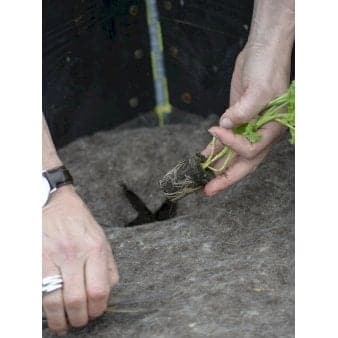 Se Markdug af uld 150 x 200 cm ❤ Stort online udvalg i Plantetorvet ❤ Hurtig levering: 1 - 2 Hverdage samt billig fragt - Varenummer: PTT-90858 og barcode / Ean: på lager - Udsalg på Net og duge > Fiberdug Spar op til 52% - Over 322 kendte brands på udsalg