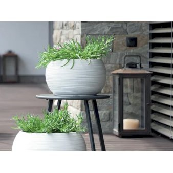 Se Furu Bowl flowerpot, lys grå H: 23 cm Ø: 40 cm Grå 8 liter ✔ Kæmpe udvalg i  Plantetorvet - Køb online på udsalg og tilbud lige nu ✔ Hurtig levering: 1 - 2 Hverdage samt billig fragt - Varenummer: PTT-100525 og barcode / Ean:  på lager - Udsalg på Havekrukker > Runde krukker Spar op til 55% - Over 1334 design brands på udsalg