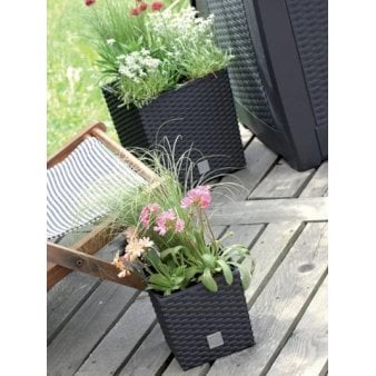 Se Rato, lav firkantet H: 32,5 cm. L og B: 32 cm Antracitegrå 32 liter ✔ Kæmpe udvalg i  Plantetorvet - Køb online på udsalg og tilbud lige nu ✔ Hurtig levering: 1 - 2 Hverdage samt billig fragt - Varenummer: PTT-100642 og barcode / Ean:  på lager - Udsalg på Havekrukker > Firkantede krukker Spar op til 66% - Over 1334 design brands på udsalg