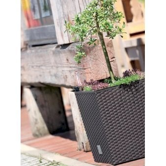 Se Rato, lav firkantet H: 40,8 cm L/B: 40 cm Antracitegrå 37 liter ✔ Kæmpe udvalg i  Plantetorvet - Køb online på udsalg og tilbud lige nu ✔ Hurtig levering: 1 - 2 Hverdage samt billig fragt - Varenummer: PTT-100646 og barcode / Ean:  på lager - Udsalg på Havekrukker > Firkantede krukker Spar op til 51% - Over 1334 design brands på udsalg
