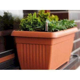 Se Cano Altankasse Terracotta-farvet ✔ Kæmpe udvalg i  Plantetorvet - Køb online på udsalg og tilbud lige nu ✔ Hurtig levering: 1 - 2 Hverdage samt billig fragt - Varenummer: PTT-100649 og barcode / Ean:  på lager - Udsalg på Havekrukker > Altankasse Spar op til 51% - Over 1334 design brands på udsalg