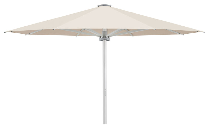 Palazzo Noblesse Ø500cm u/frise - Champagne