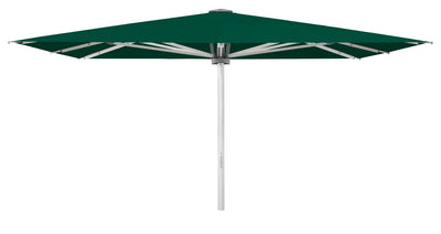 Palazzo Noblesse 500x250cm m/frise - Aloe