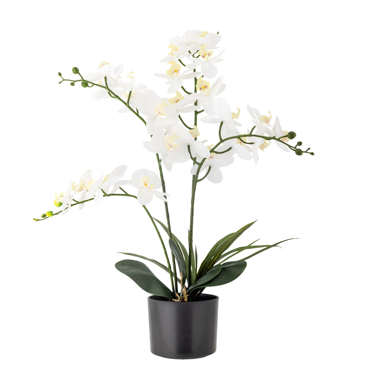 Kunstig hvid orkidé i potte, Orchid plante fra Bloomingville