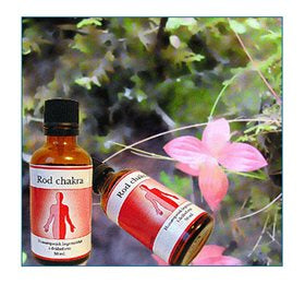 Se Holistica Rod feminin chakra 50ml. ✔ Kæmpe udvalg i Holistica-Medica - Køb online på udsalg og tilbud lige nu ✔ Billig fragt • Hurtig levering - Varenummer: Helsegrossisten-14699 og 5706059017000 på lager - Udsalg på Sundhed > Holistica-Medica > Få op til 69% i rabat - Find over 1.798 mærker på udsalg