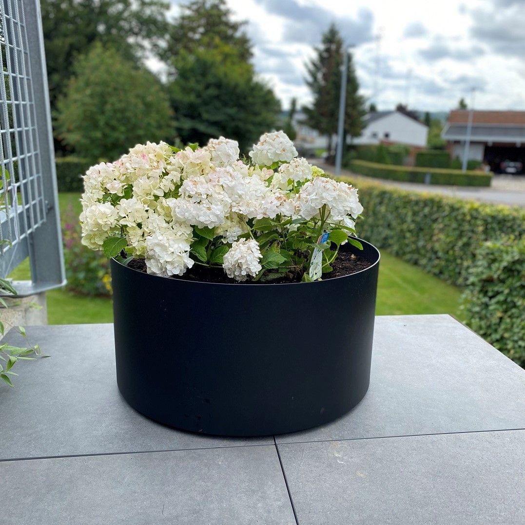 Rundt højbed på hjul i cortenstål fra Jernbede, Ø79 cm og 75 cm højt, rustfarvet