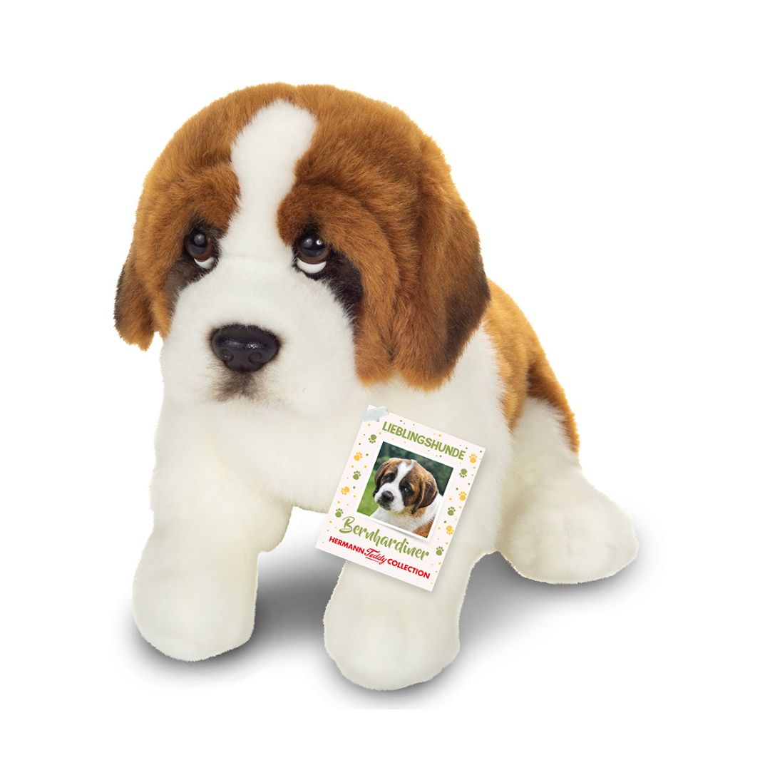 Siddende Sankt Bernhard-hvalp som bamse fra Teddy Hermann, der ligner en ægte hund