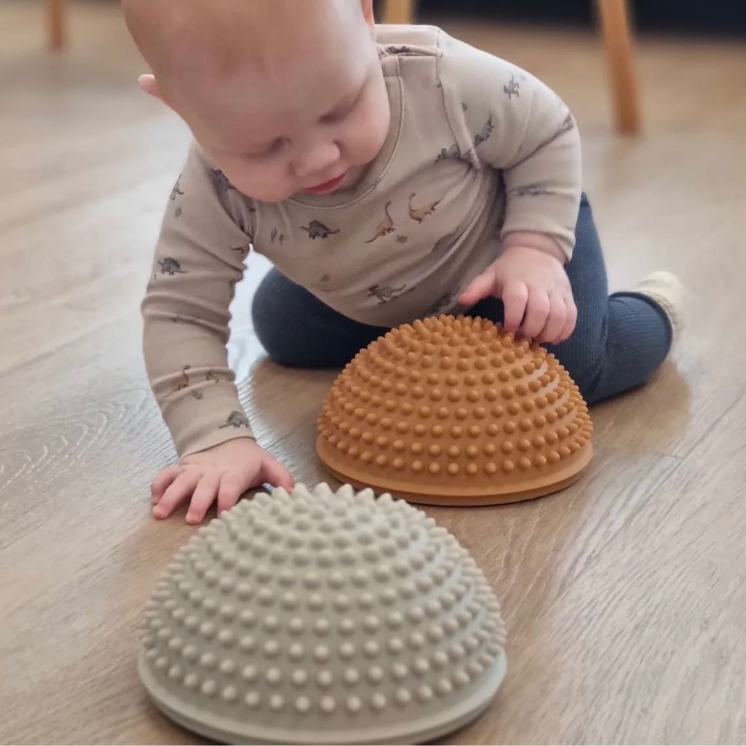 Fire store sansesten i lyse pastelfarver med knopper fra Find that Hippo