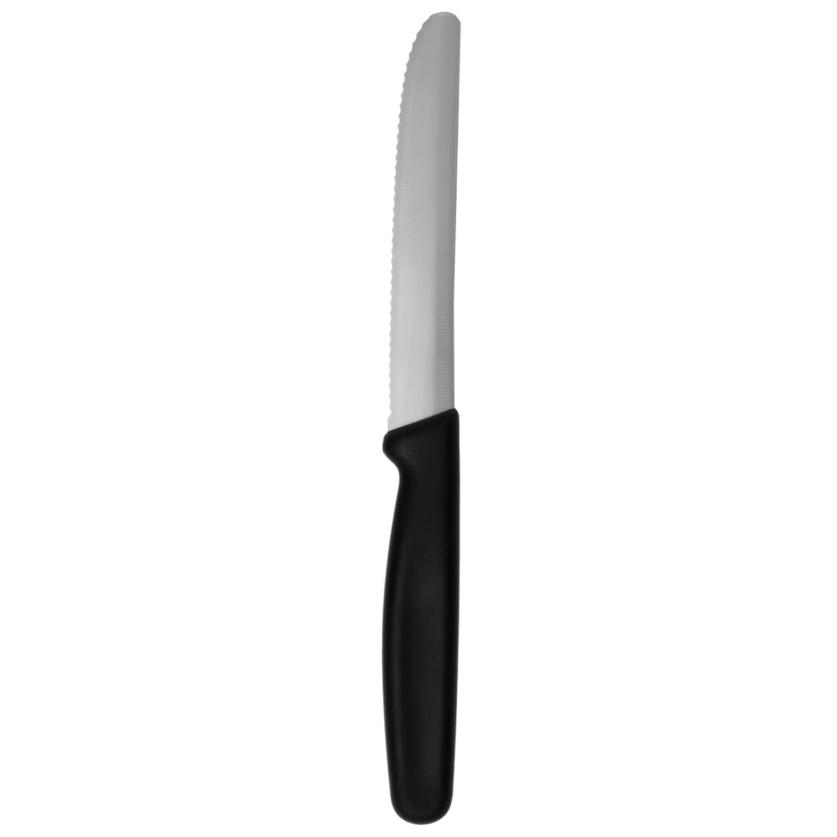 Essentials Tandad skalkniv med 10 cm klinge og 20 cm totallængde