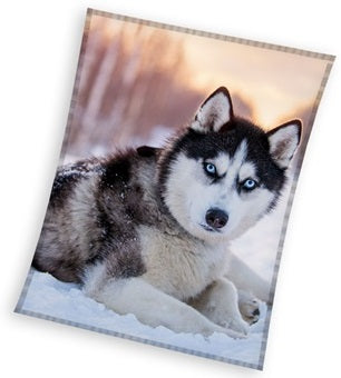 Se Slædehund Coral Fleece tæppe - 150 x 200 cm ✔ Kæmpe udvalg i Bolig Magasin - Køb online på udsalg og tilbud lige nu ✔ Meget billig fragt og hurtig levering - Varenummer: MMAction-2040435 og 5905742048851 på lager - Udsalg på Fleece tæpper til børn Store besparelser – op til 71% - Store besparelser på over 2.281 mærker