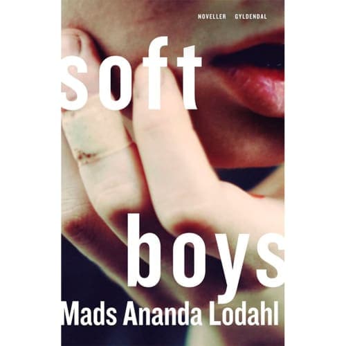 Soft Boys - Hæftet