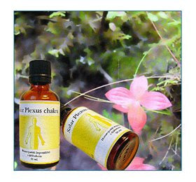 Se Holistica-Medica Solar plexus chakra 50ml. ✔ Kæmpe udvalg i Holistica-Medica - Køb online på udsalg og tilbud lige nu ✔ Billig fragt • Hurtig levering - Varenummer: Helsegrossisten-14696 og på lager - Udsalg på Sundhed > Holistica-Medica > Store besparelser – op til 71% - Shop over 2.281 kendte mærker på udsalg