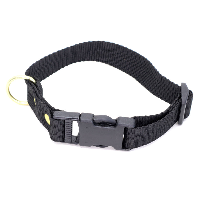 Sort halsbånd i webbing fra BLF-Hunting, mål 25 mm x 40 cm