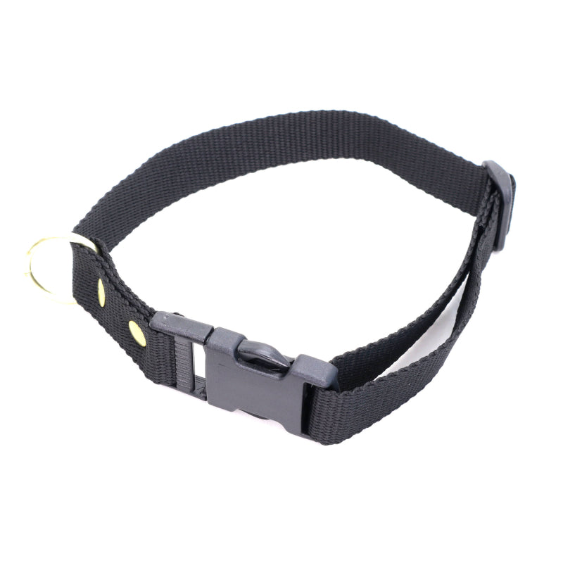 Sort halsbånd i webbing fra BLF-Hunting, mål 25 mm x 60 cm
