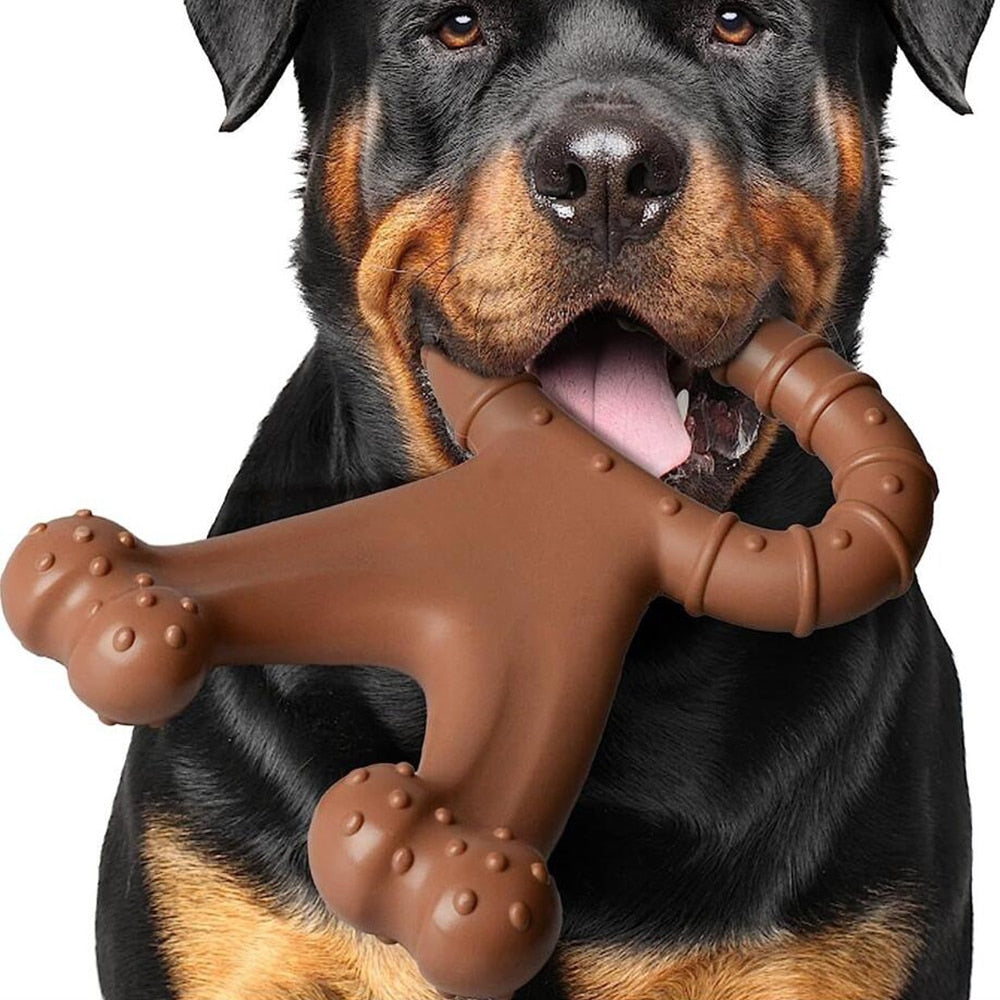 Se Tyggelegetøj til hunde af naturgummi ✔ Kæmpe udvalg i Satana - Køb online på udsalg og tilbud lige nu ✔ Super billig fragt og lynhurtig levering - Varenummer: Satana-1482525 på lager - Udsalg på Tilbud > Plantforce - Third Wave Nutrition > Hud Spar helt op til 57% - Kæmpe udsalg på over 739 brands