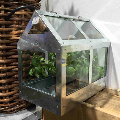 Se billigt tilbud på Calinornia væksthus i galvaniseret stål! 38 x 24 x 36,5 cm. Udsalg på Haven > Plantekasser og væksthuse. Spar op til 62%. Hurtig levering: 1-2 hverdage.