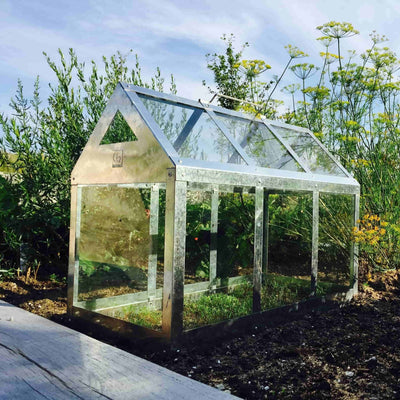 Se billigt tilbud på Calinornia væksthus i galvaniseret stål, 62 x 32 x 50 cm. Udsalg på Haven > Plantekasser og væksthuse. Spar op til 64%. Hurtig levering: 1-2 hverdage. Varenummer: 3NDC-2413.