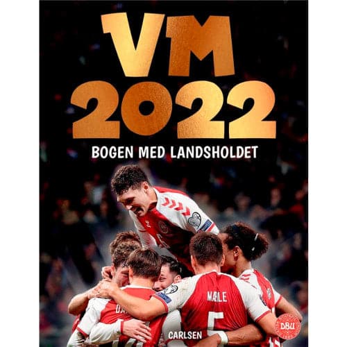 VM 2022 - Bogen med landsholdet - Indbundet