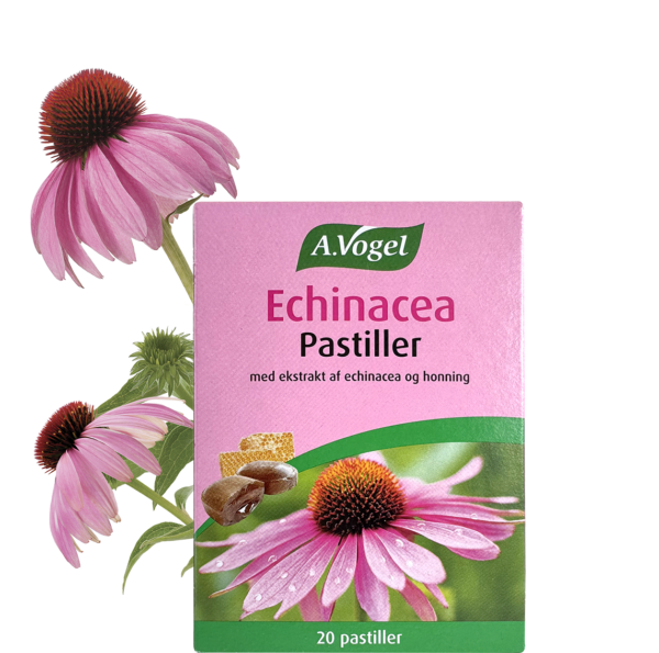 Se A.Vogel Echinacea Pastiller 42 g ✔ Kæmpe udvalg i A. Vogel - Køb online på udsalg og tilbud lige nu ✔ Billig fragt og hurtig levering - Varenummer: Helsegrossisten-2873 og 5703802000012 på lager - Udsalg på Mad & drikke > A. vogel > Bolcher Op til 63% rabat - Mere end 1.329 populære mærker på udsalg
