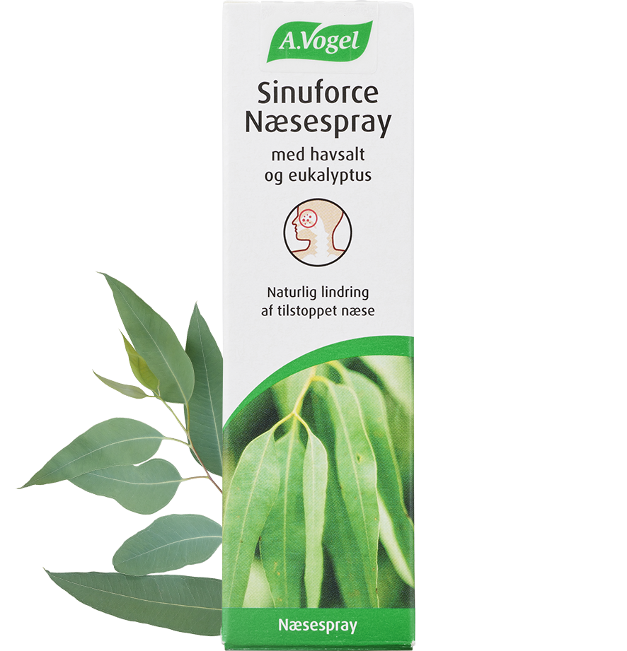 Se A. Vogel Sinuforce Næse Spray 20 ml ✔ Kæmpe udvalg i A. Vogel - Køb online på udsalg og tilbud lige nu ✔ Billig fragt • Hurtig levering - Varenummer: Helsegrossisten-6855 og 7610313398454 på lager - Udsalg på Sundhed > > Spar helt op til 73% - Over 739 kendte mærker på udsalg