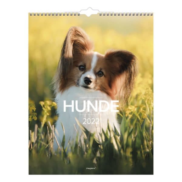 Mayland Vægkalender Hunde 2022 - Køb online nu