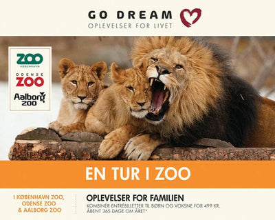 Se GO DREAM En tur i zoo online her - Ean: 5711434041334
