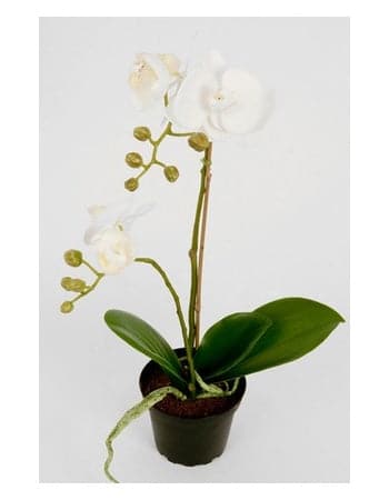 Kunstig Orkideer Phalaenopsis 45 cm. hvid