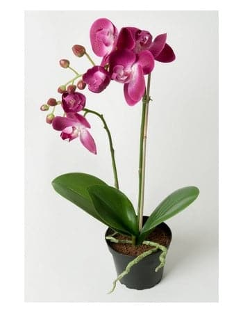 Kunstig Orkideer Phalaenopsis 45 cm. Mørk Lilla