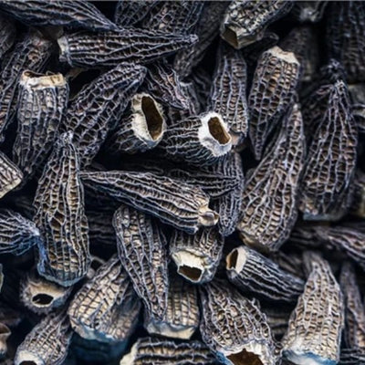 Se Morkler Tørrede Giga 8 Cm Gourmetengros 200g ✔ Kæmpe udvalg i Gourmetengros ✔ Hurtig levering: 1 - 2 Hverdage samt billig fragt - Varenummer: BAR-671263 og barcode / Ean: '05715018000274 på lager - Udsalg på Delikatesser - Tapas Spar op til 61% - Over 324 kendte brands på udsalg