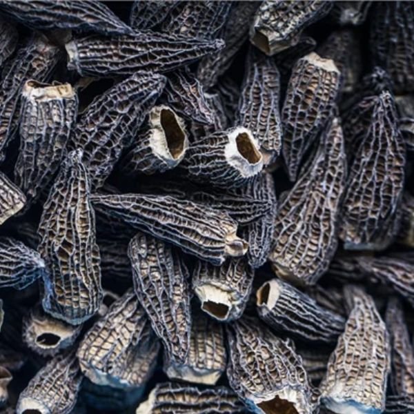 Se Morkler Tørrede Giga 8 Cm Gourmetengros 200g ✔ Kæmpe udvalg i Gourmetengros ✔ Hurtig levering: 1 - 2 Hverdage samt billig fragt - Varenummer: BAR-671263 og barcode / Ean: &