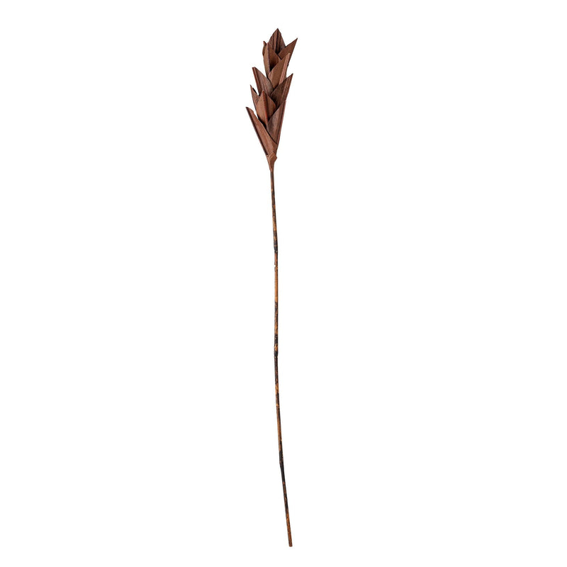 Se Bloomingville - Afina Deko Blomst, Brun, Palm Leaf H93 cm. ❤ Stort online udvalg i Bloomingville ❤ Hurtig levering: 1 - 2 Hverdage samt billig fragt ❤ Varenummer: BGH-47101216424266 og barcode / Ean: &