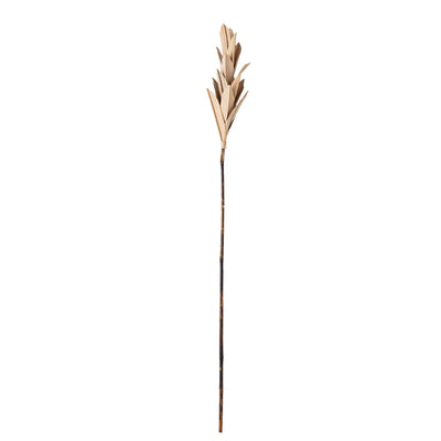 Se Bloomingville - Natelie Deko Blomst, Natur, Palm Leaf H93 cm ❤ Stort online udvalg i Bloomingville ❤ Hurtig levering: 1 - 2 Hverdage samt billig fragt ❤ Varenummer: BGH-47101214753098 og barcode / Ean: '5711173266494 på lager - Udsalg på Alle produkter Spar op til 57% - Over 360 kendte mærker på udsalg