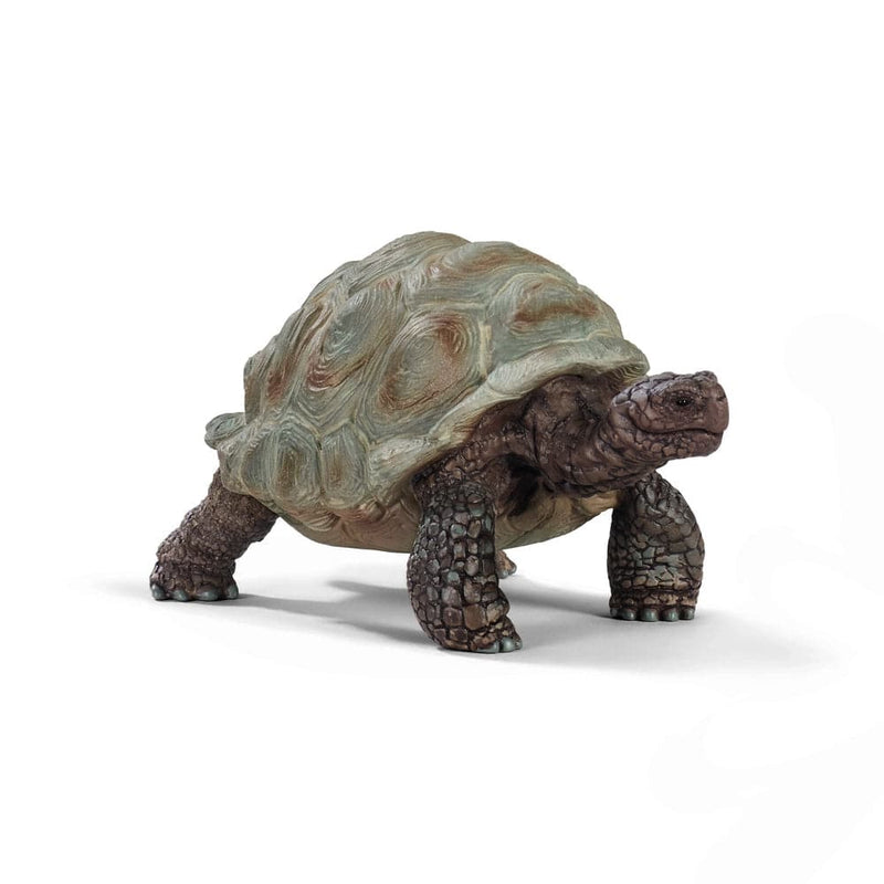 Se Schleich Kæmpeskildpadde online her - Ean: 4055744033667