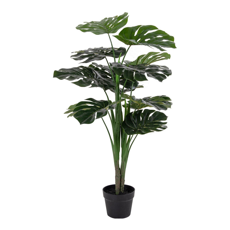 Se Monstera - Kunstig Plante, Grøn, 90 Cm ❤ Stort online udvalg i HouseNordic ❤ Hurtig levering: 1 - 2 Hverdage samt billig fragt ❤ Varenummer: BBM-45560952488213 og barcode / Ean: &